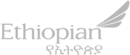 Ethiopian Airlines